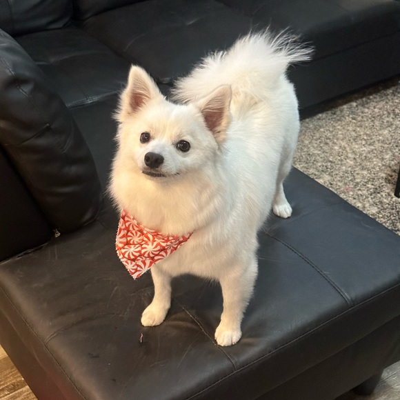 Meet your Posher, Winter - Picture 6 of 6